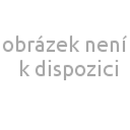 Obrázek pro produkt Dámské tričko s potiskem